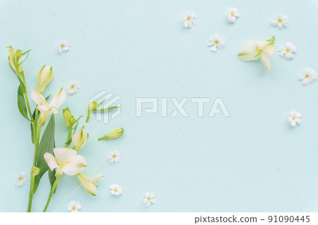整潔的花框，白色的花朵和淺藍色 91090445