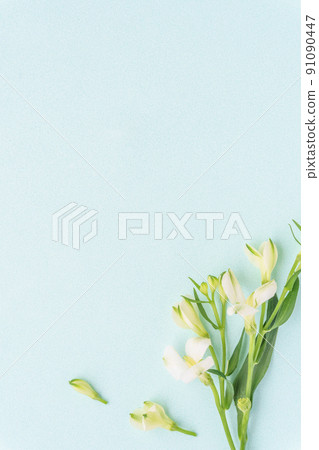 整潔的花框,白色的花朵和淺藍色 整潔的花框,白色的花朵和淺藍色 91090447