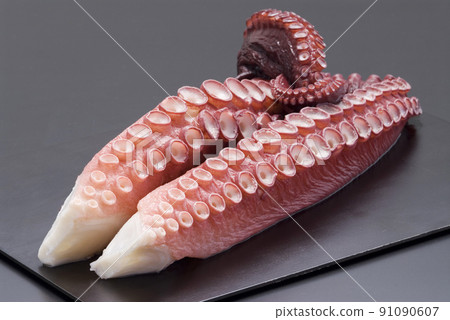 Octopus feet Octopus feet 91090607