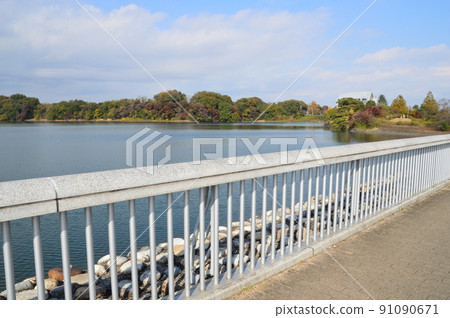 Autumn Tama Lake Higashiyamato City 91090671