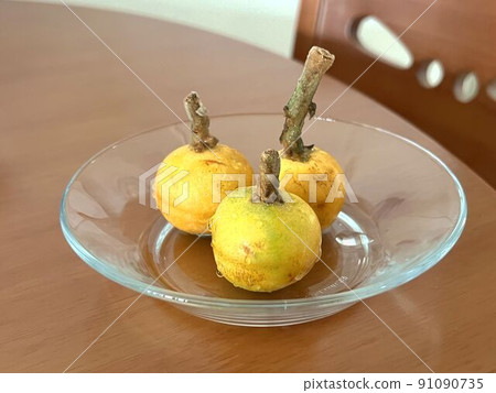 Higashiyama Shiratama 杷 杷 in Suzhou, China 91090735