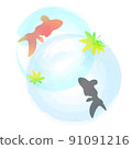 金魚，漣漪，背景材料 91091216