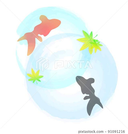 金魚，漣漪，背景材料 91091216
