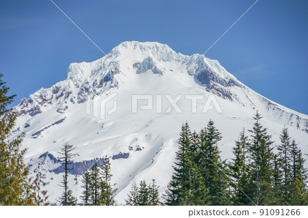 從鏡湖看到的胡德山 從鏡湖看到的胡德山 91091266