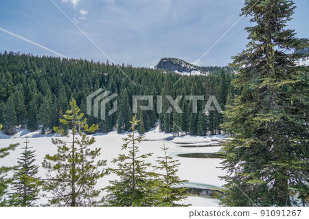 從鏡湖看到的胡德山 91091267