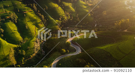 Aerial Drone View of Scenery Road Through Green Mountains Hills and Tea Plantations. Sri Lanka Natural Landscape. Aerial Drone View of Scenery Road Through Green Mountains Hills and Tea Plantations. Sri Lanka Natural Landscape. 91092110