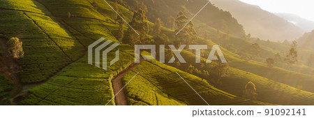 Aerial Drone View of Scenery Road Through Green Mountains Hills and Tea Plantations. Sri Lanka Natural Landscape. 91092141
