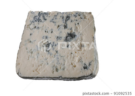 Moldy cheese 91092535