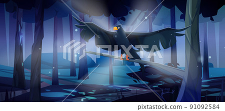 Black raven flying in coniferous forest at night 91092584