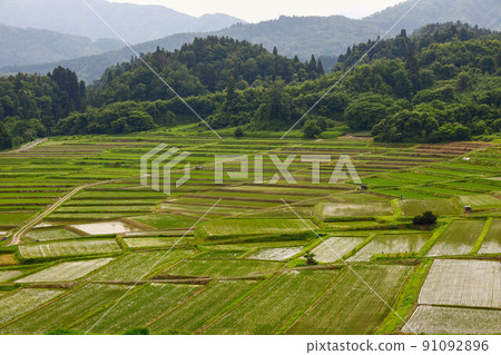 Rice terraces of Kunugidaira Asahi Town Rice terraces of Kunugidaira Asahi Town 91092896