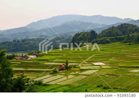 Rice terraces of Kunugidaira Asahi Town 91093180