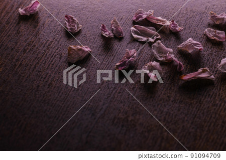 櫻花花瓣 91094709