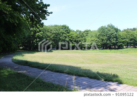 Forest of depression and culture Forest of depression and culture 91095122