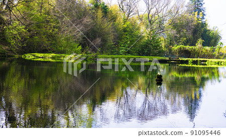 Clear water pond Clear water pond 91095446