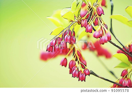 柔和的“盛開的小花,紅脈石竹”插圖圖像 柔和的“盛開的小花,紅脈石竹”插圖圖像 91095578