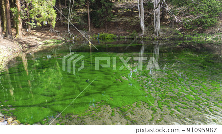 Clear water pond Clear water pond 91095987