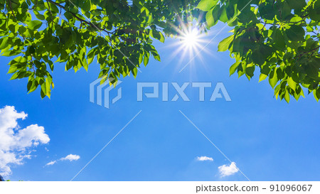 Summer blue sky, fresh green and sunbeams 91096067