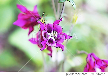 Pastel-like "flower in full bloom columbine" illustration image 91096254