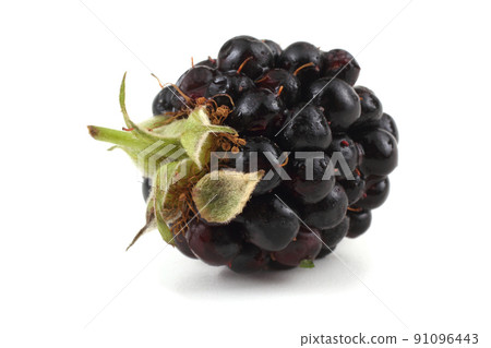 Organic blackberry 91096443
