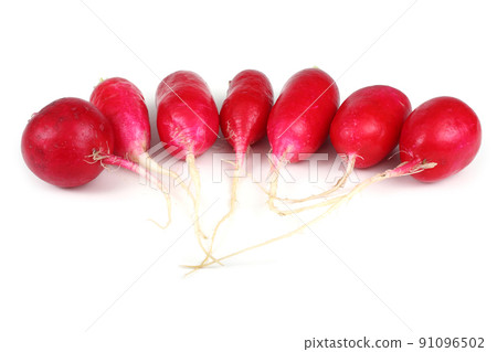 Fresh organic radish 91096502