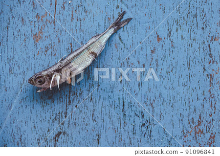 Close up of one sun-dried anchovy fish  91096841