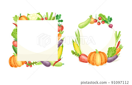Frame of rectangular and square shape made of fresh vegetables set vector illustration 91097112