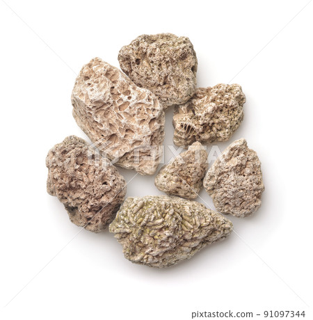 Top view of limestones with fossils embedded on surface Top view of limestones with fossils embedded on surface 91097344