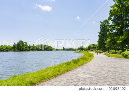 Fresh green metropolitan Mizumoto Park 91098402