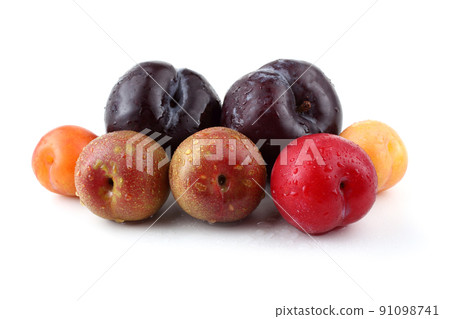 Group of plums Group of plums 91098741