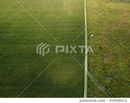 Aerial view on green wheat field in countryside. Field of wheat blowing in the wind on sunset. Young and green Spikelets. Ears of barley crop in nature. Agronomy, industry and food production. 91099013