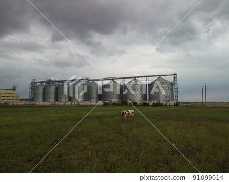 Grain elevator. Metal grain elevator in agricultural zone. Agriculture storage for harvest. Grain elevators on green nature background. Exterior of agricultural factory. Nobody. Grain elevator. Metal grain elevator in agricultural zone. Agriculture storage for harvest. Grain elevators on green nature background. Exterior of agricultural factory. Nobody. 91099014