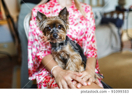 Girl in a colored robe and her cute dog, close-up Girl in a colored robe and her cute dog, close-up 91099383