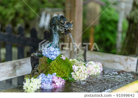 京都府花手水出雲神社 京都府花手水出雲神社 91099642