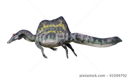 Spinosaurus Spinosaurus Spinosaurus Spinosaurus 91099792