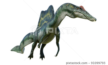 ケナースピノサウルス Spinosaurus(BJP.39) 激レア ケナースピノサウルス Spinosaurus(BJP.39) 激レア
