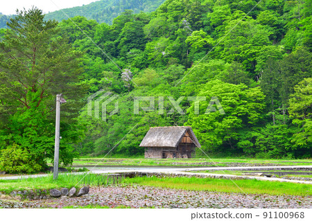 Shirakawago spring 91100968