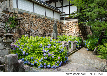 Yanagiya Kannon Kadani寺 Yanagiya Kannon Kadani寺 91101506