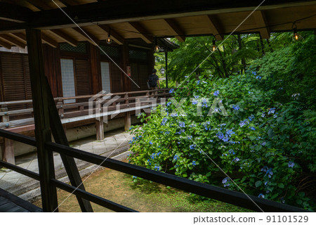 Yanagiya Kannon Kadani寺 91101529