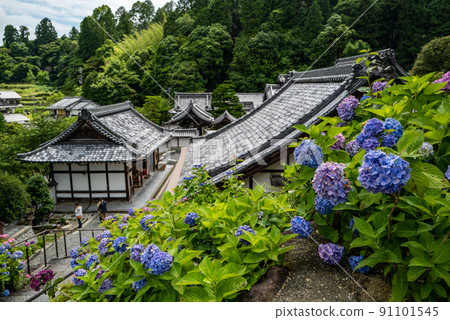 Yanagiya Kannon Kadani Temple 91101545