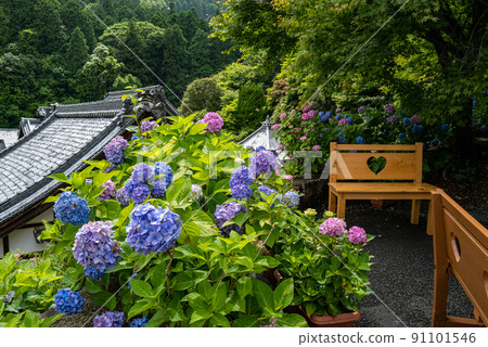 Yanagiya Kannon Kadani Temple 91101546