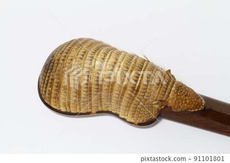 Charango, a folk instrument of Latin American music 91101801