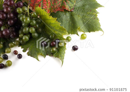 Different color grape Different color grape 91101875