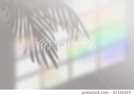 Rainbow flare tropical shadow overlay effect on transparent background. Real blurred iridescent soft light shadow from window. Vector illustration, mockup template of sunlight effect with reflection 91102835