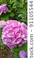 [Pink] Hydrangea up 91105544