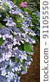 [Purple / Blue Purple] Gaku Hydrangea 91105550