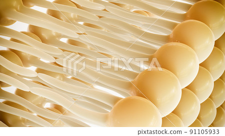 3D rendering lipid bi-layer cell anatomy - 3D Rendering 3D rendering lipid bi-layer cell anatomy - 3D Rendering 91105933