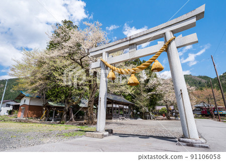 [Nagaragawa Railway] A train that passes by the shrine 91106058