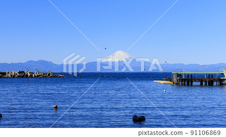 Early spring on the Arasaki coast in Yokosuka City, Kanagawa Prefecture, on the Shonan Miura Peninsula 91106869