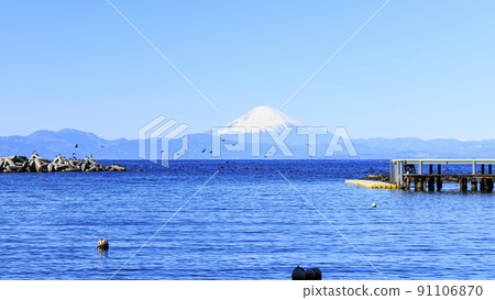 Early spring on the Arasaki coast in Yokosuka City, Kanagawa Prefecture, on the Shonan Miura Peninsula 91106870