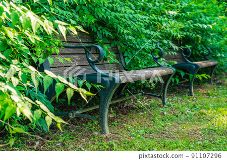 Bench / park image 91107296